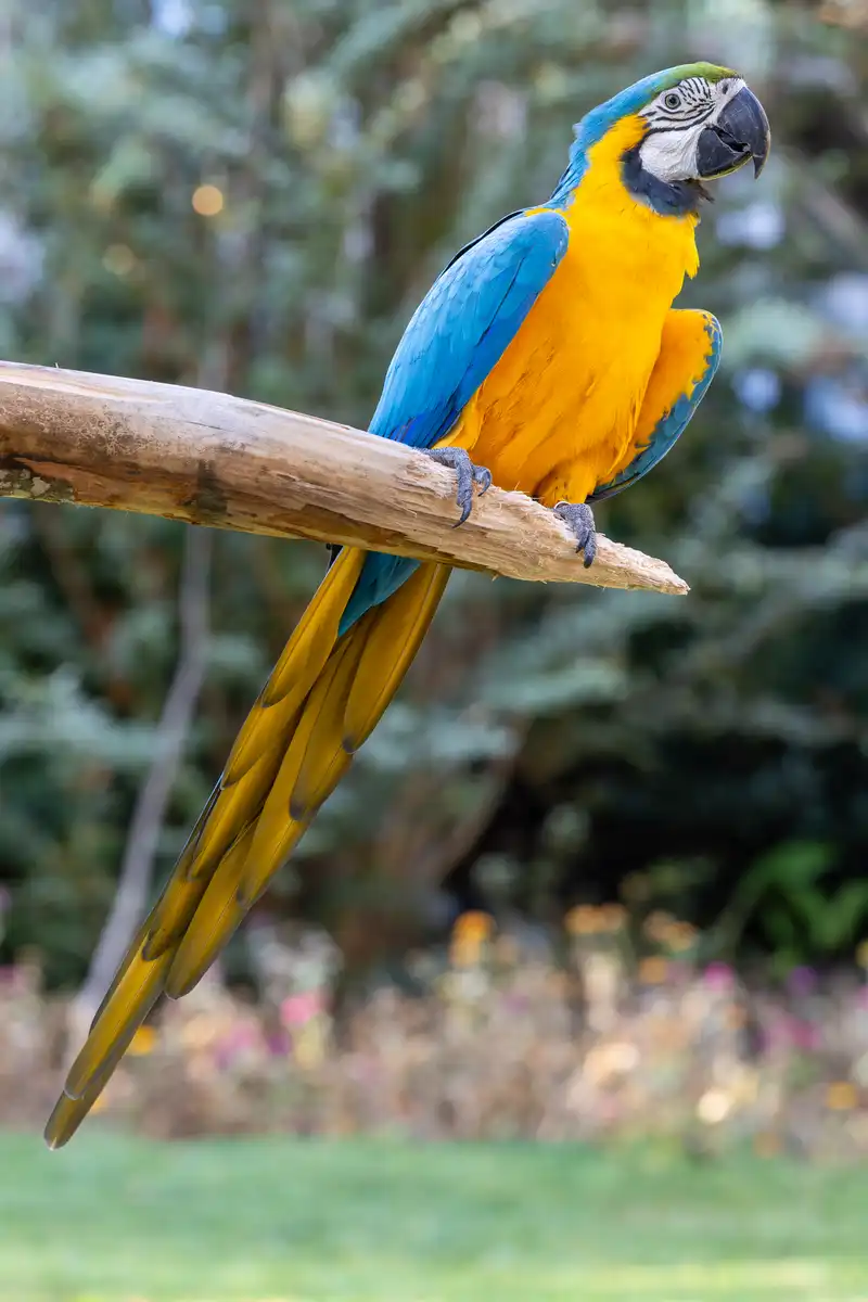 Photography by Jainath Ponnala