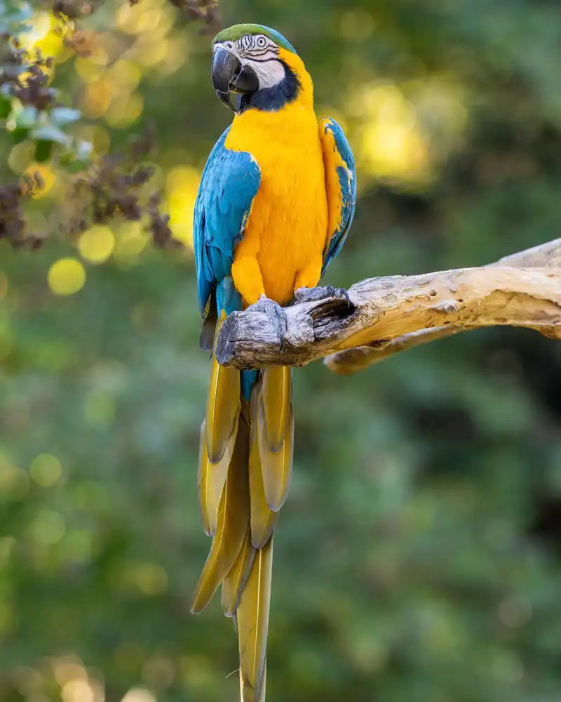 Photography by Jainath Ponnala